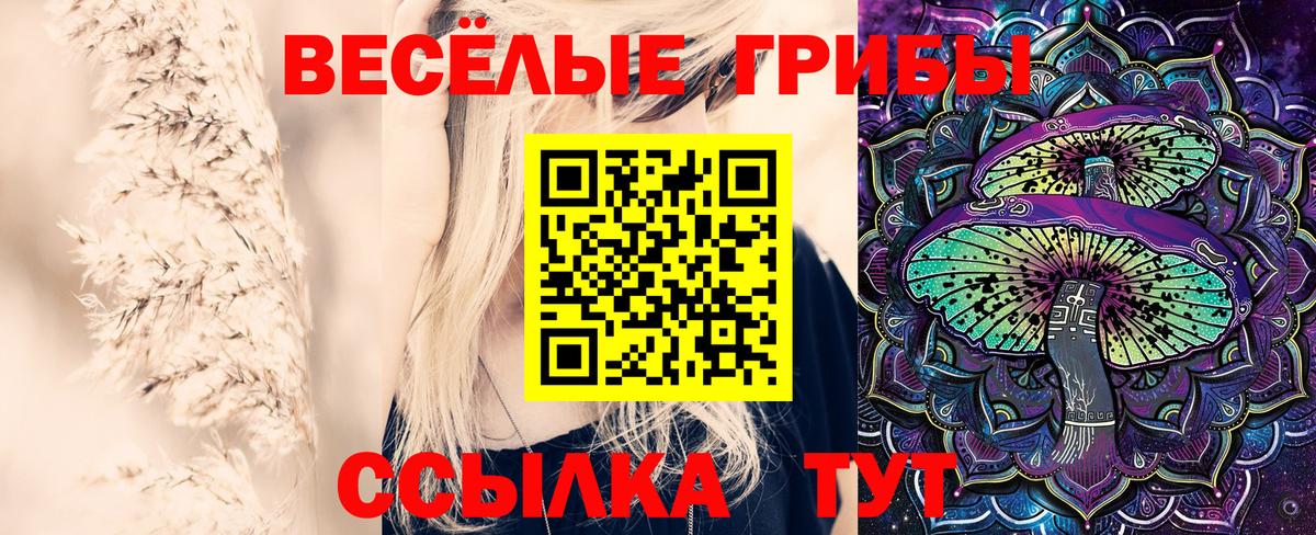 Псилоцибиновые грибы мицелий  Вход с VPN  что такое   Арсеньев 